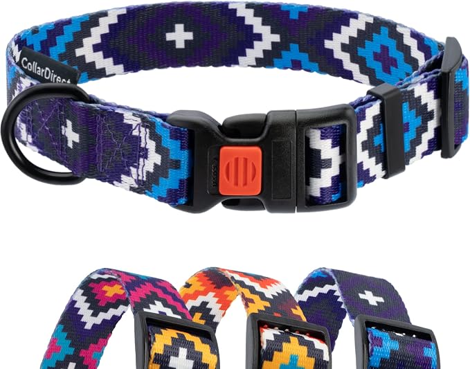 CollarDirect Aztec Dog Collar Adjustable Nylon Tribal Pattern Geometric Pet Collars for Dogs Small Medium Large Puppy (Ethnic Teal, Neck Fit 12"-16"