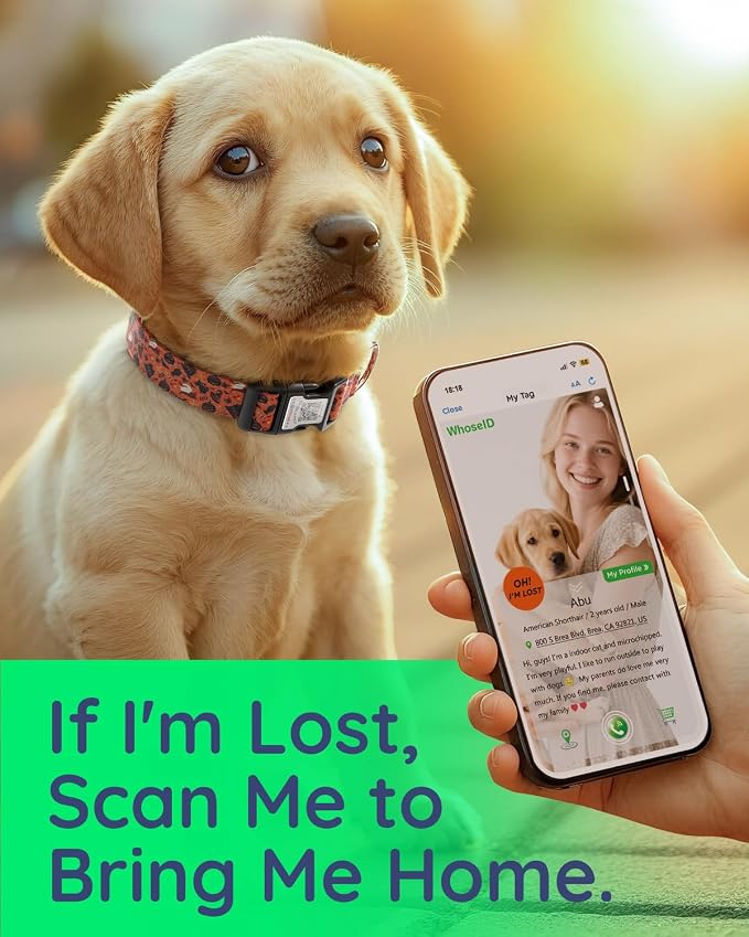 Dog Collar for Meidum Dogs with Smart QR Tags