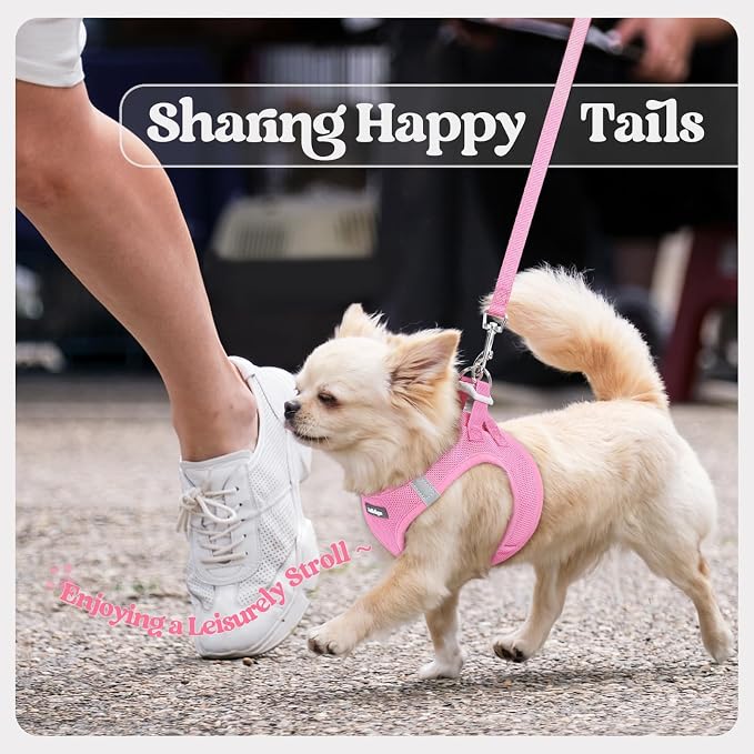 rabbitgoo Dog Harness Small Sized and Leash Set, Step-in Puppy Pet Vest | Light, Soft, Breathable Air Mesh, Easy on and Remove with Hook & Loop, Secure Reflective for Walking, Light Pink XS
