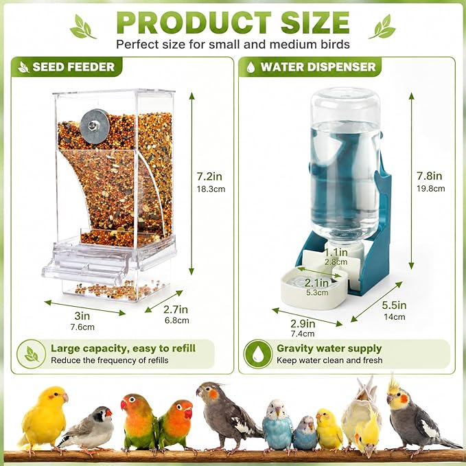 Rypet No-Mess Bird Feeder and Water Dispenser Set for Small Birds | Automatic Bird Feeder, Transparent Acrylic Food Container, Helps Reduce Seed Scatter, for Parakeet Cockatiel Parrot Canary