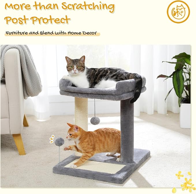 PAWZ Road Cat Scratching Post with Bed, Small Cat Tower with Pad & Ball | 19” Cat Stand with Padded Removable Bed, Full Sisal Scratching Post & Scratcher Pad Dual Play Ball for Kittens & Indoor cats