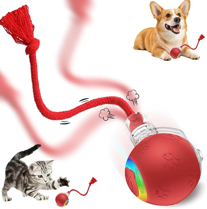 Speed 2.0 Tail Interactive Cat Toys, Rechargeable Ball for Indoor Cats