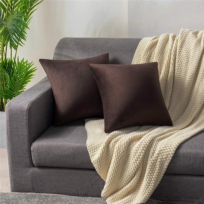 Throw Pillow Covers 16x16 Chocolate Brown: Pack of 2 Cozy Soft Velvet Square Modern Luxury Decorative Throw Pillow Cases for Sofa Couch Living Room Bed Home Decor