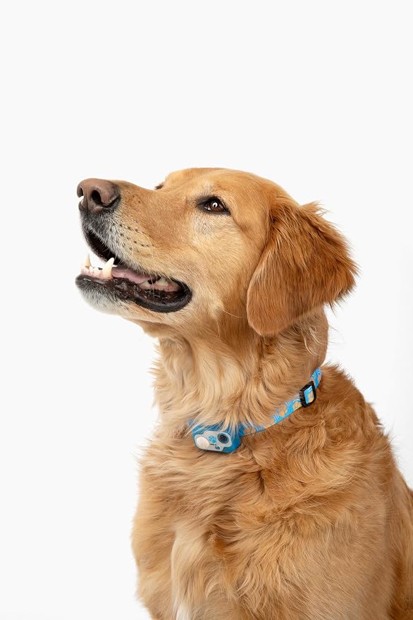 Genuine MS-5® Designer Series Automatic Pet Door Collar Tested & Certified by High Tech Pet for Dogs and Cats - Complies with Power Pet Door Performance Warranty, Waterproof (PAW, Dog)