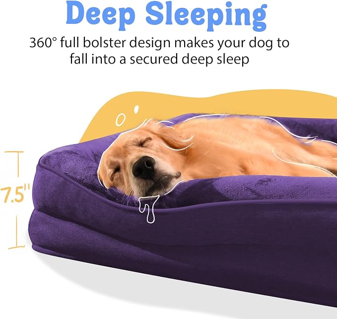 Orthopedic Washable XXL Dog Bed for Extra Large Dogs | Egg Crate Foam, 4-Sided Bolster Support, Waterproof Liner, Non-Slip Bottom, Removable Bolster Cover, 45 x 35 Inch