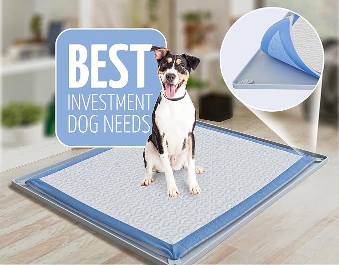 Dog Pee Pad Holder Tray Fits for 30” x 23” Pee Pads - 1 Pack - Sky Grey | Corner Lock Holes, Raised Edges, Non-Spill, Easy to Clean Silicone Dog Potty Tray Holder, For Indoor Floor Protection