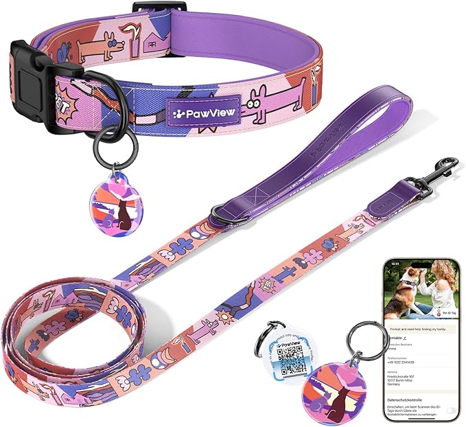 Dog Collar and Leash Set with QR ID Tag, 5 FT Leash, Purple, S