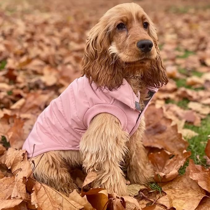 Blueberry Pet Cozy & Comfy Windproof Waterproof Quilted Fall Winter Dog Puffer Jacket in Pink, Back Length 13 3/4", Size 12", Warm Coat for Small Dogs
