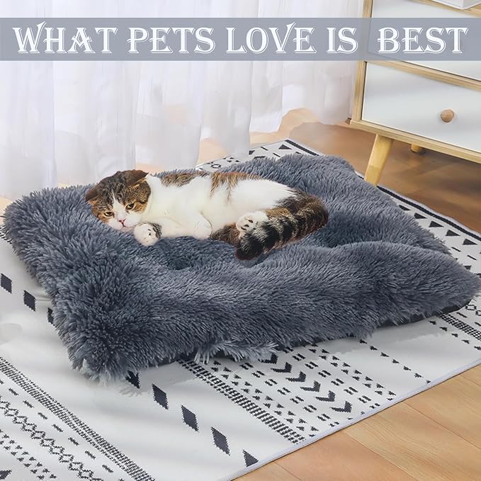 Washable Calming Dog & Cat Bed for Ultra Large Small Medium Size Pet | Calming Cute Warming Mat House Supply Indoor, 8 Sized Deal Necessity Essential Furniture for Boy Girl Puppy Kitten kitty