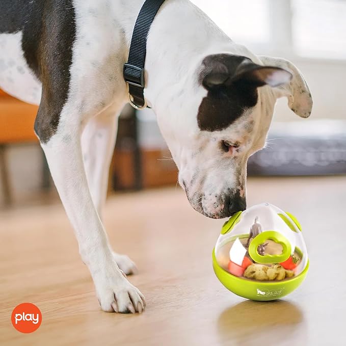 Wobble Ball Interactive Food & Treat Dispensing Puzzle Toy for Puppies & Dogs - Slow Feeder, Mental Enrichment, Forage Skills, Training, Relieves Boredom - Dishwasher Safe, Easy to Clean (Lime Green)