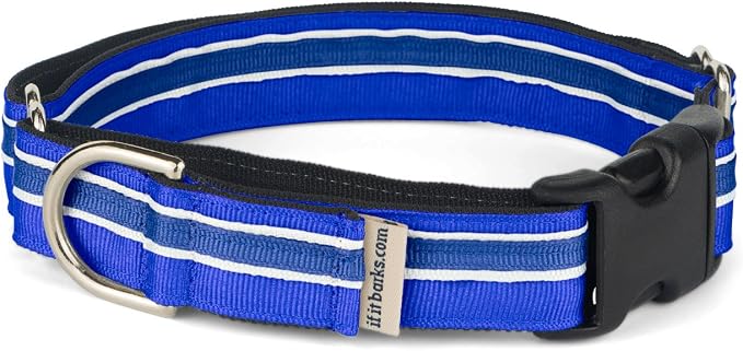 If It Barks 1" Martingale Collar with Quick Snap Release Buckle, Adjustable, USA Made, Medium, Blueberry