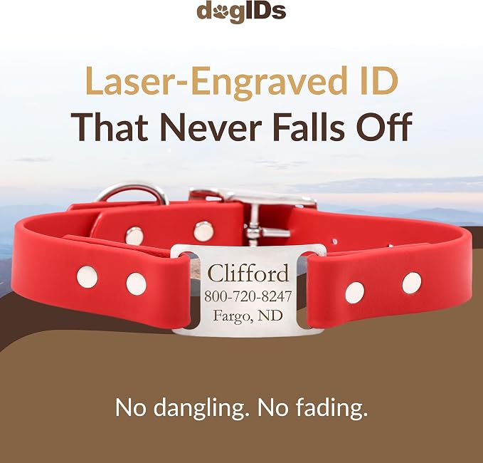 dogIDs Personalized Dog Collar – ScruffTag Custom Waterproof Biothane Dog Collar with Laser-Engraved Name, Durable & Odor-Resistant – USA Made | Red, 1 in x 16 in (Fits Neck Sizes 14-18 in)