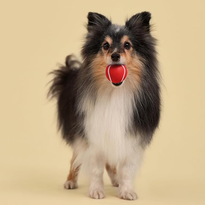 Playology Squeaky Chew Ball Dog Toy - Small, Beef Scent, 3-Pack