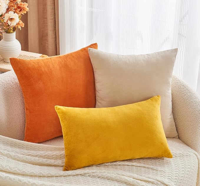 Throw Pillow Covers Burnt Orange Set of 2 22x22 Inch Fall Pillow Covers, Soft Velvet Farmhouse Neutral Decorative Pillowcases for Couch Sofa Bed, Home Boho Decor, Modern Cushion Covers