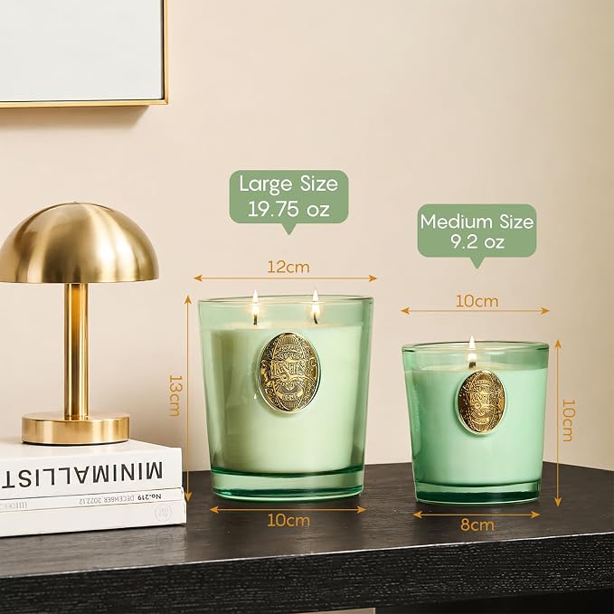 M&SENSE Two-Wick Eucalyptus Mint Candle for Relaxation | 120-Hour Burn Aromatherapy Soy Candle | Calming Stress Relief & Home Fragrance | 19.8 OZ Luxury Scent for Bedroom, Office & Gift