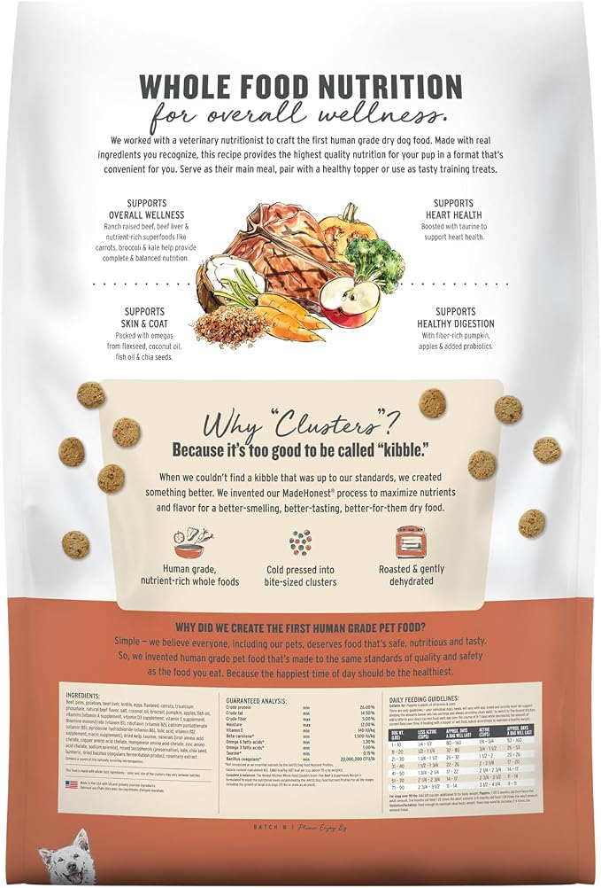 The Honest Kitchen Whole Food Clusters Grain Free Beef Dry Dog Food, 10 lb Bag