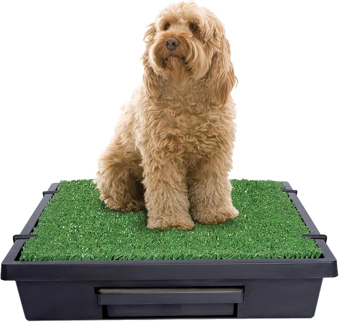 PetSafe Pet Loo Portable Dog Potty, Medium | Gass Mat Toilet Alternative for Puppy Pads, Perfect for House Training and Small Spaces, Less Odor and Conveneint Clean-Up