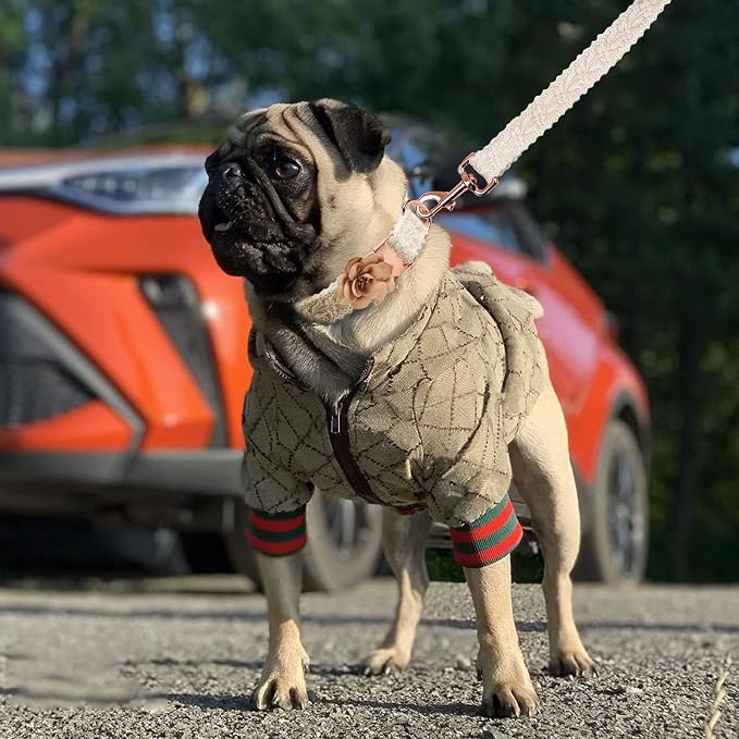 Dog Hoodie Luxury Winter Small Dog Jacket Clothes Classic Designer French Bulldog Teddy Pug Puppy Clothes(XL)