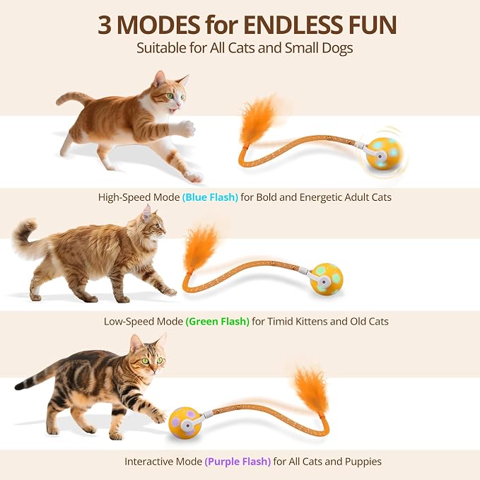 XRG Interactive Cat Toys for Indoor Cats, Automatic Moving Cat Ball Toy with Mesh Tail & Feather, Motion Activated Kitten Toy for Bored Adult Cats, Two Metal Bells, Low Noise Design(Yellow and Orange)