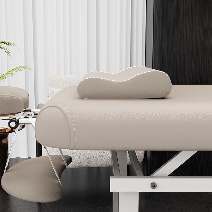 Dolonm 30 Wide x 75 Long Heavy Duty Electric Stationary Massage Table with Backrest Adjustable and Storage Space for Treatment/Medical Spa/Facial/Beauty/Massage Bed and More - Beige Gray