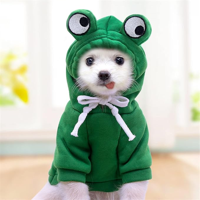 Warm Dog Winter Clothes Cute Fruit Dog Coat Hoodie, Green, M | Dog Frog Costume Fleece Pet Jacket for French Bulldog Chihuahua Pug Boston Terrier Dachshund Ropa Para Perro