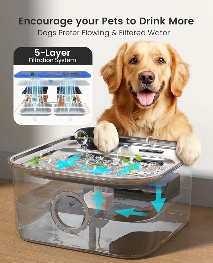 oneisall 10L/2.6Gal Dog Water Fountain for Large Dogs (with 6 Filters) | Deeper & Wider Drinking Area, Visualization Water Window & Triple Filtration,304 Stainless Steel