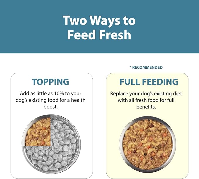 JustFoodForDogs Pantry Fresh Wet Dog Food, Complete Meal or Dog Food Topper, Turkey & Whole Wheat Macaroni Human Grade Dog Food Recipe - 12.5 oz (Pack of 6) | Fresh Pet Meal or Fresh Dog Food Topper, Human Grade Recipe Made With Whole Foods, Preservati...