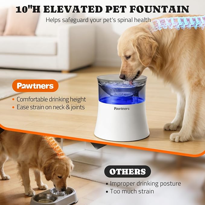Pawtners 1 Gal/3.5L Dog Water Fountain,Elevated Dog Water Bowl Dispenser | Vortex Flow filter,Automatic Pet Water Fountain for Large Dogs Inside, Deep Drinking Area and Quiet Pump, 10" H