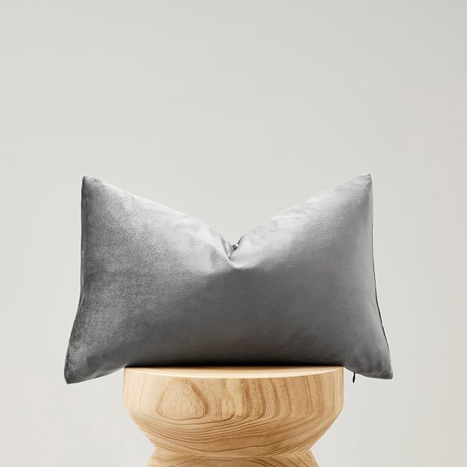 GIGIZAZA Dark Grey Velvet Throw Pillow Covers 12x20 Pack of 2 | Decorative Lumbar Pillows for Couch Sofa,280gsm Soft Textured Fabric,Modern Pillowcases,Luxury Cushion Covers