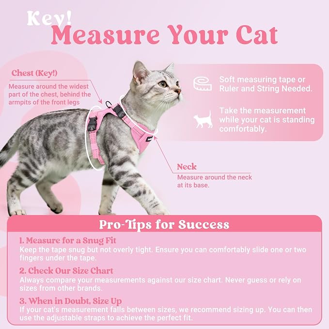 rabbitgoo Cat Harness and Leash, Easy-on with Neck Buckle, Pink