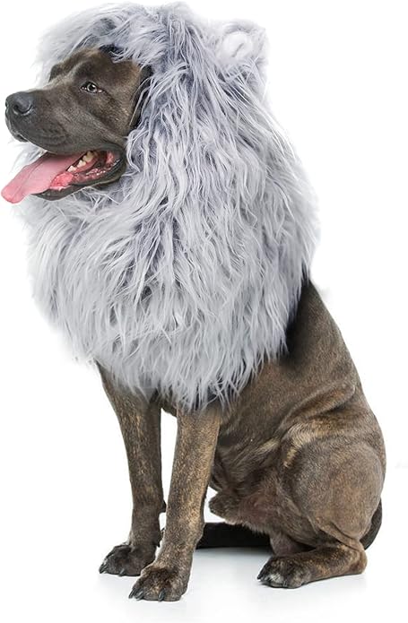 Lion Mane Wig for Dogs with Ears, Funny Pet Costumes for Halloween Christmas