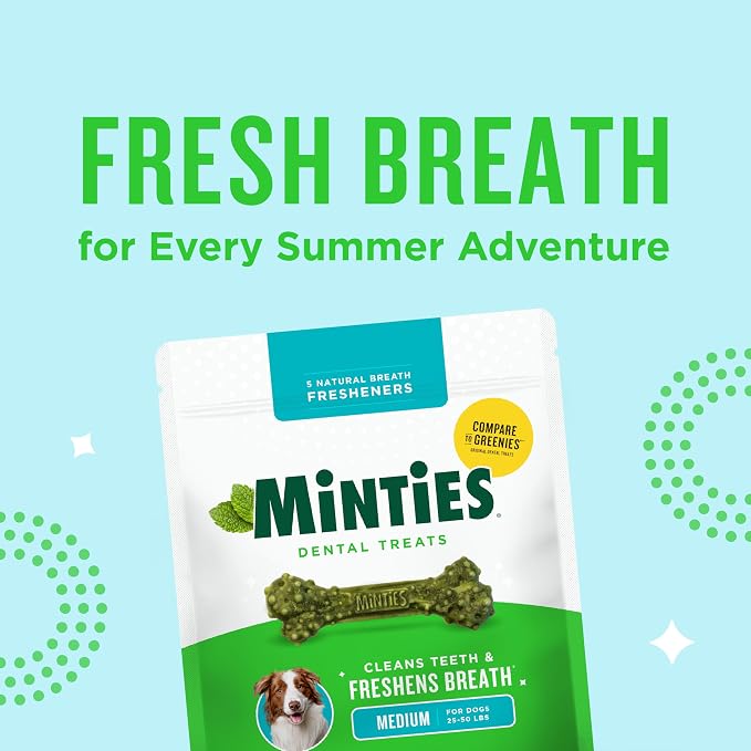 Minties Dental Chews for Dogs, 60 Count, Vet-Recommended Mint-Flavored Dental Dog Treats for Medium Dogs, Bones Clean Teeth, Fight Bad Breath, and Removes Plaque and Tartar | Vet-recommended mint dental bone; scrubs teeth as dogs chew; fights plaque, t...