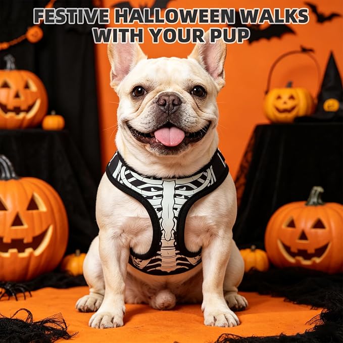 KOOLTAIL Halloween Dog Harness and Leash Set for Small Medium Dogs,Step in No Pull Soft Mesh Comfort Padded Pet Vest Harness,Glow-in-Dark Skeleton Design Easy Walking Puppy&Cat Harness for Holiday M