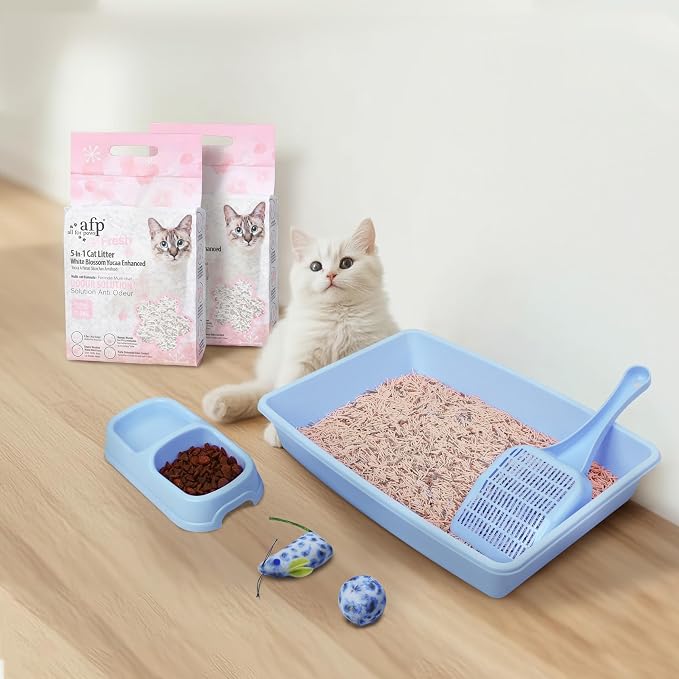 PAWISE Tofu Cat Litter 2 Pack and PAWISE Small Cat Litter Box