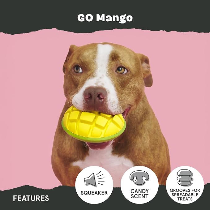 BarkBox Go Mango Tough Squeaky Rubber Dog Toy - Large