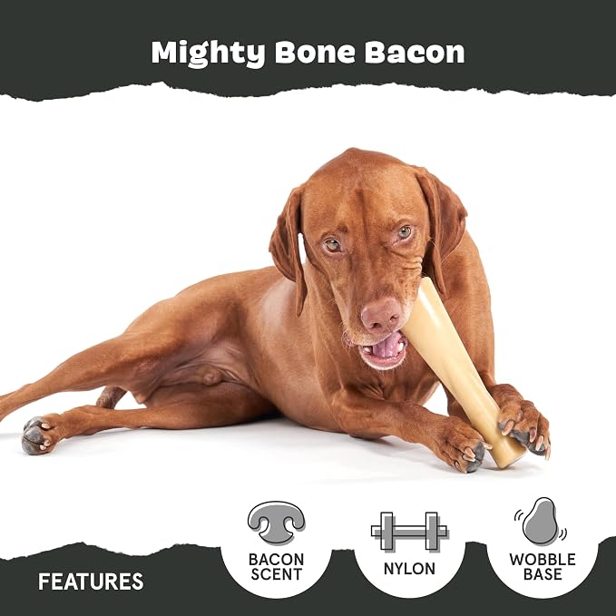 BarkBox Bacon Bone Super Chewer - Toy for Large Dogs | Durable Dog Toy for Aggressive Chewers - Bacon Scented Chew