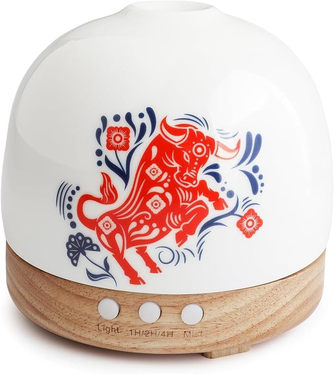 Ceramic Diffuser - 300ML Essential Oil Diffuser,Cute Porcelain Design, Quiet Cool Mist, 4 Timer Modes, Auto Shut-Off, Night Light for Bedroom and Home