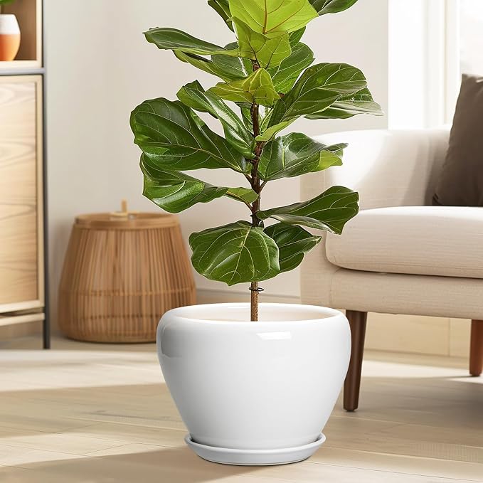 Ceramicfor Ceramic Pot for Plants - 10 Inch Planter with Drainage Hole and Saucer, Glaze Modern Round Flower Pot for Indoor Plants, Housewarming Gift, Home Decor, White