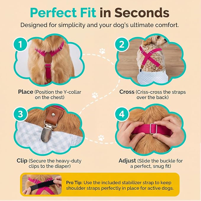 2 Pieces Dog Diaper Suspenders, for Dog Diaper Female and Belly Band for Male (Black&Purple, Medium/Large)