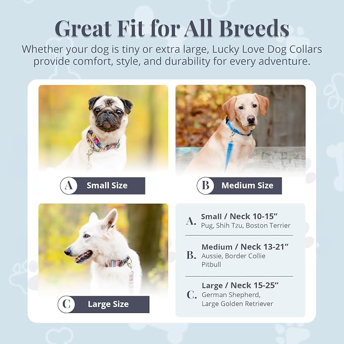 Lucky Love Dog Martingale Collar for Large Dogs Cute – Blue Laguna, Large