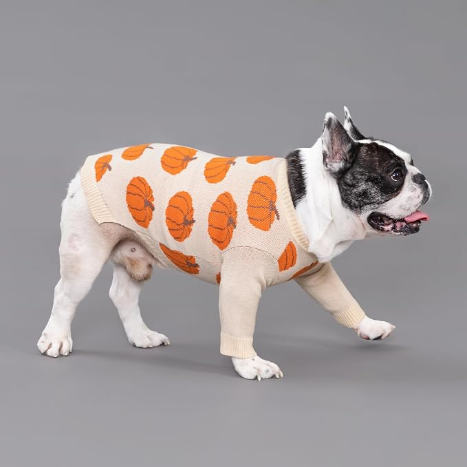 Fitwarm Pumpkin Dog Sweater, Thanksgiving Outfit for Small Dogs Boy Girl, Pet Outfit, Orange, Beige, Medium
