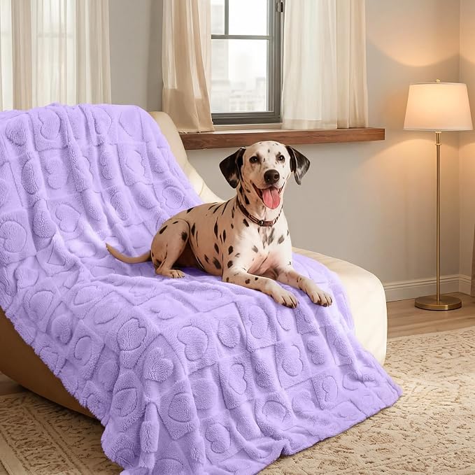 Luciphia 2 Pack Small Dog Blanket, Cozy Fleece Throw for Puppy Cat,41"x31" | Pink Blanket Washable for Medium/Large Dogs, Cute Cover on Bed Couch Crate Car, Puppy Essentials, Dog Gift,2PCs Pink/Purple
