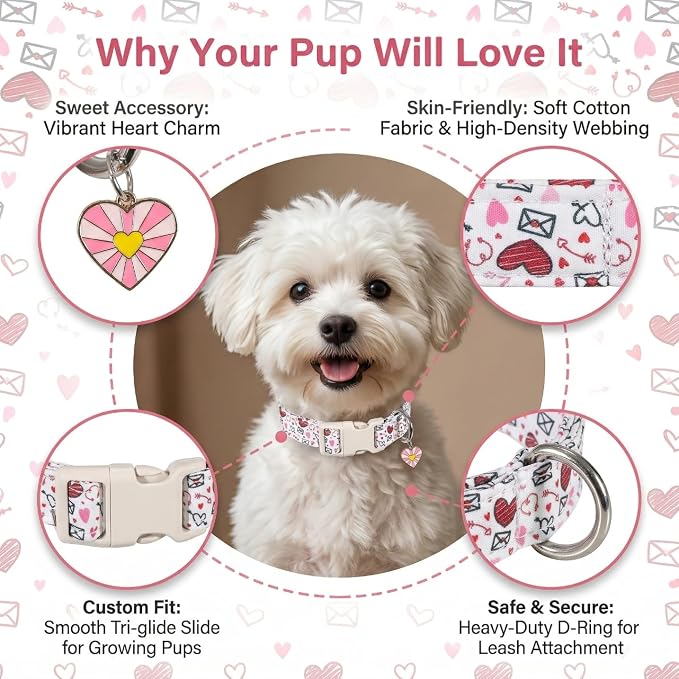 Dog Collar for Medium Dogs - Stylish Vibrant Girl Dog Collar for Medium Female Dogs with Red and Pink Heart Pattern, Adjustable Soft Comfort Neckwear for Daily Walking & Outdoor Adventure