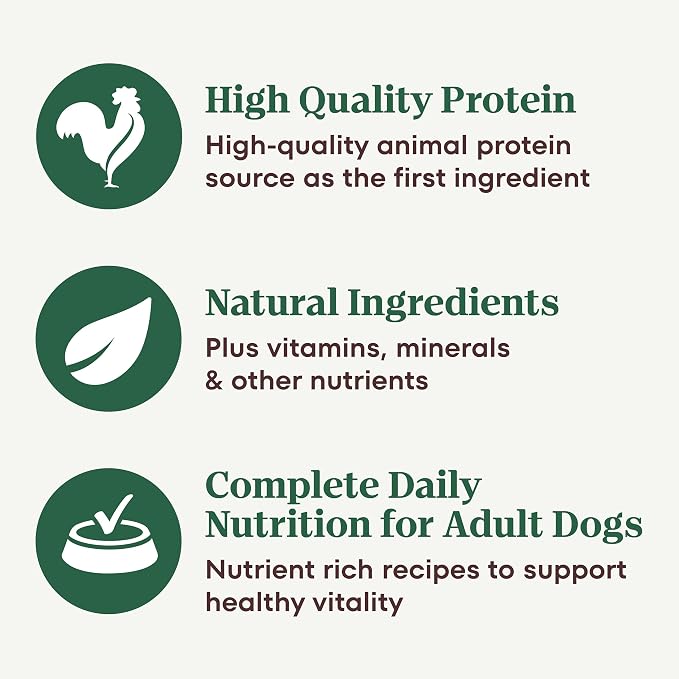 Nutro Hearty Stew Wet Dog Food, Chicken & Beef Pack, 12.5 oz, 12 Pack | Chicken & Beef variety, real meat #1 ingredient, no by-product meal/corn, wheat, soy, made in USA, canned dog food