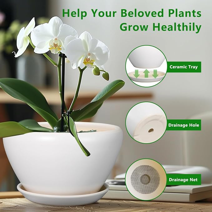Ceramicfor Ceramic Planter - 9 Inch Plant Pot Indoor with Drainage Hole and Saucer for Outdoor Plants Mid-Century Round Planter Modern Flower Pot for House Garden White
