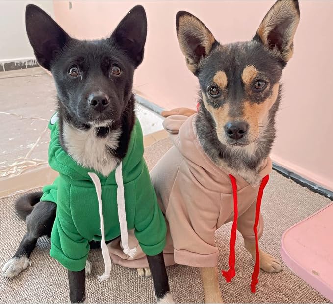 Warm Dog Pet Winter Clothes Cute Frog Shape Dogs Coat Hoodie, Green,XXL | Pet Dog Frog Costume Jacket Outfits Outerwear for French Bulldog Chihuahua Pug Boston Terrier Dachshund Ropa Para Perro