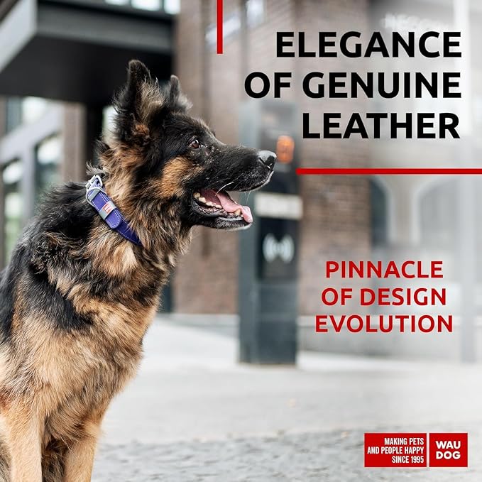 WAUDOG Genuine Leather Dog Collar Adjustable Large Medium Small QR Code Tag