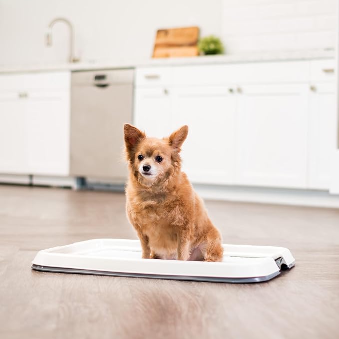 IRIS USA Pee Pad Holder, Fits 17x23 Pads, Dark Gray, Made in USA | Dog Training Pad Holder, Holds Pads in Place, Leakproof Design, Secure Latches, Non-Skid Feet, Easy Clean Surface