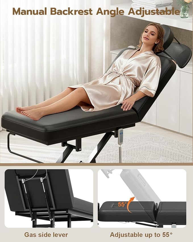Paddie 550lbs Electric Lift Massage Table, Professional for Treatment/Facial/Beauty/Spa/Physical Therapy, Haydrulic Adjustable Backrest/Face Cradle/Rolling Wheels, Black