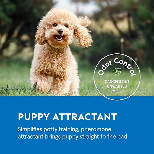 Puppy Pads Pet Pee Pads for Dogs & Puppy Training [100-COUNT] Potty Pads for Dogs 22" x 22" Leak-Proof Dog Pee Pads - Quick-Dry Surface - Heavy Duty Absorbent Disposable Dog Wee Pad Bulk Pack | Potty Pads for Dogs, Leak-Proof Dog Pee Pads, Quick-Dry Su...